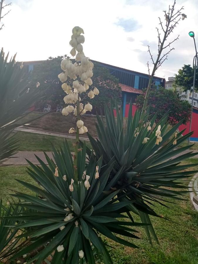 Apartamento Mobiliado 10 Minutos Da Praia Do Forte Cabo Frio Exteriér fotografie